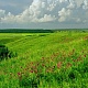 Радищевский район 23